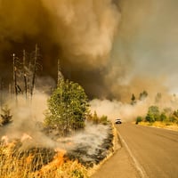 A wildfire.